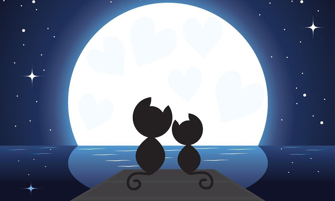 江西潮客汇微信活动策划案例